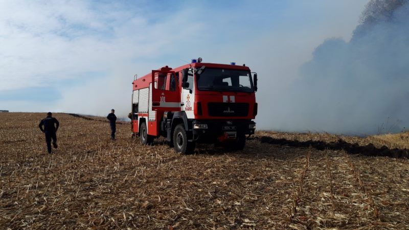 На Черкащині горять кукурудзяні поля