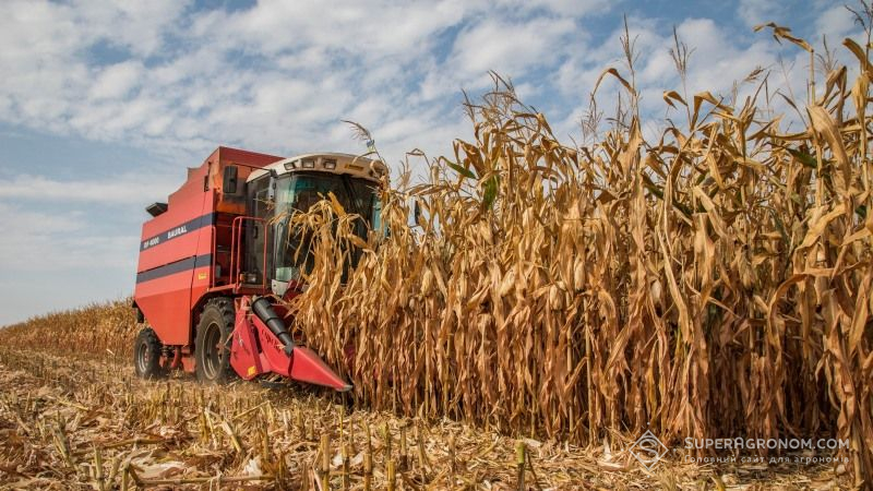 У США кукурудзу збирають з рекордним відставанням — USDA