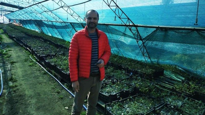 Український виробник горіхів планує вирощувати трюфель