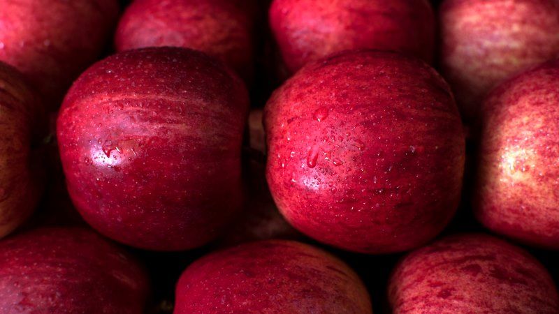Названо найзатребуваніший сорт українських яблук