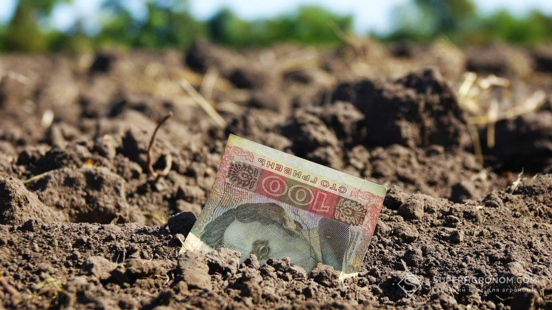 Зарплата аграріїв нижча середньої по Україні більш ніж на 10% — Держстат