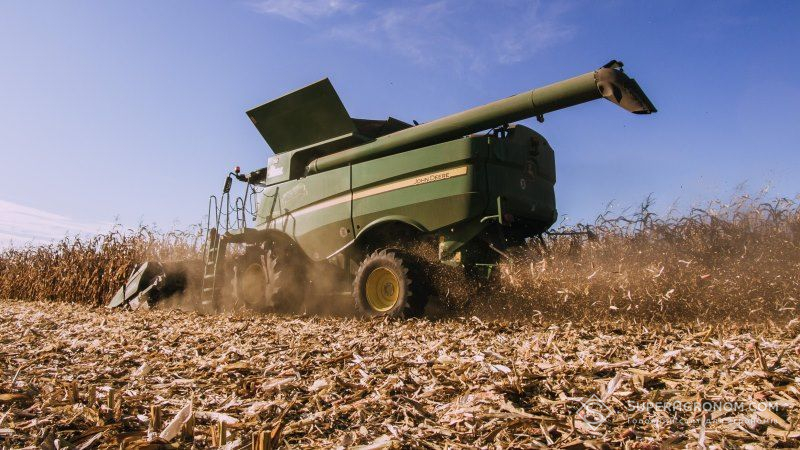 Історичний рекорд врожаю зерна зафіксовано на Рівненщині