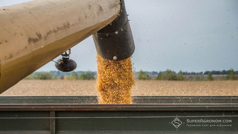Врожайність кукурудзи у Сварог Вест Груп перевищила 10 т/га