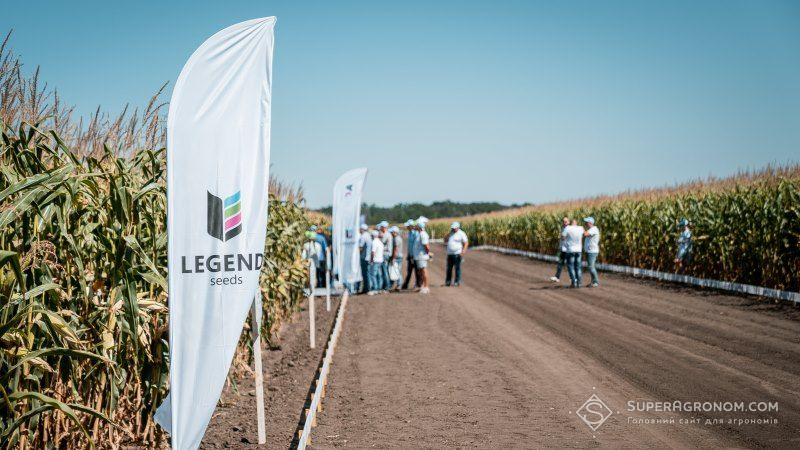 LNZ презентувала нові гібриди кукурудзи LEGEND