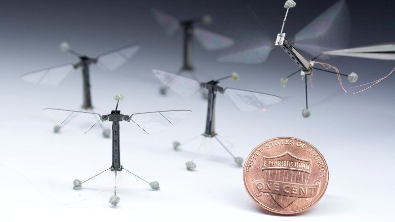 Для запилення рослин створено літаючих мікроскопічних роботів