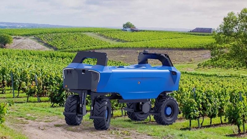 У Франції розробили робота для догляду за виноградниками