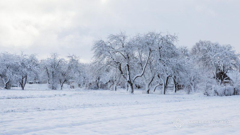 Синоптики розповіли, коли в Україні очікувати морозів та снігу