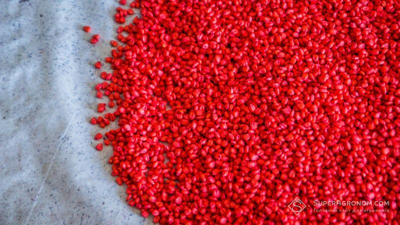 За рахунок агрохолдингів в Україні зростає попит на імпортне насіння — експерт
