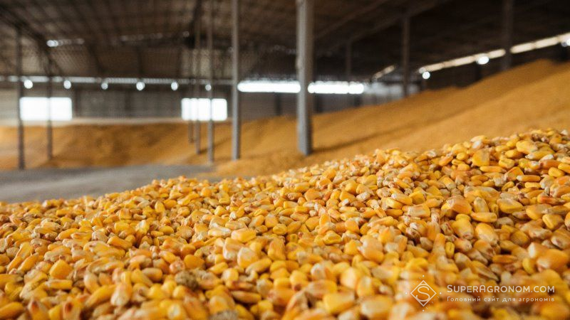 USDA підвищило прогноз виробництва кукурудзи в Україні