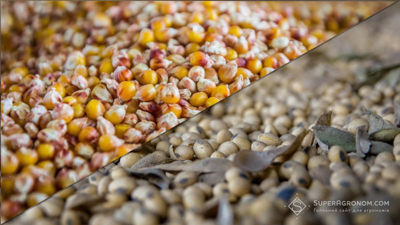 Названо причини можливого падіння цін на кукурудзу та сою на світовому ринку