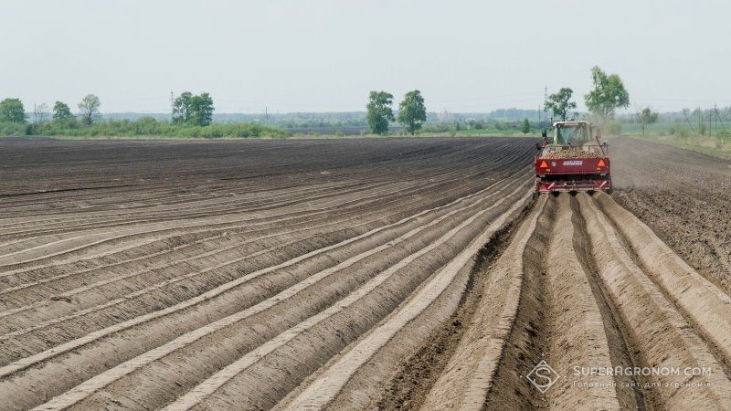 На півночі України посадку картоплі розпочали раніше звичних строків