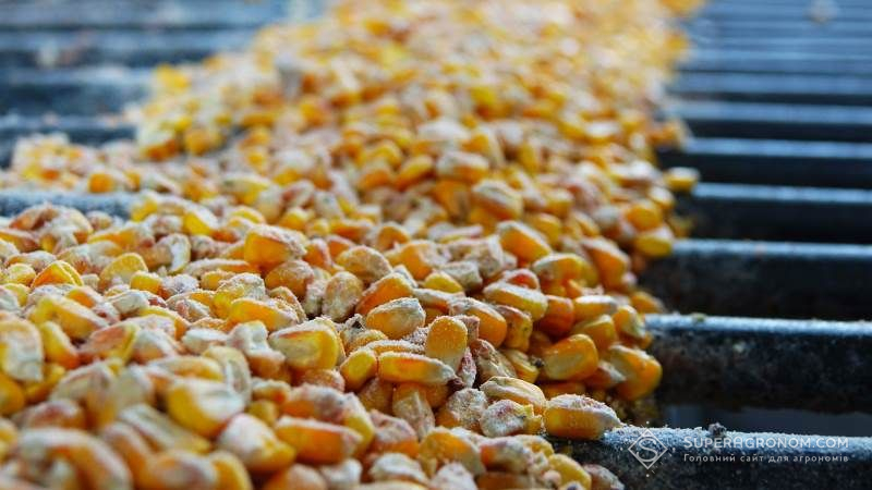 В портах України зросли закупівельні ціни на кукурудзу та сою