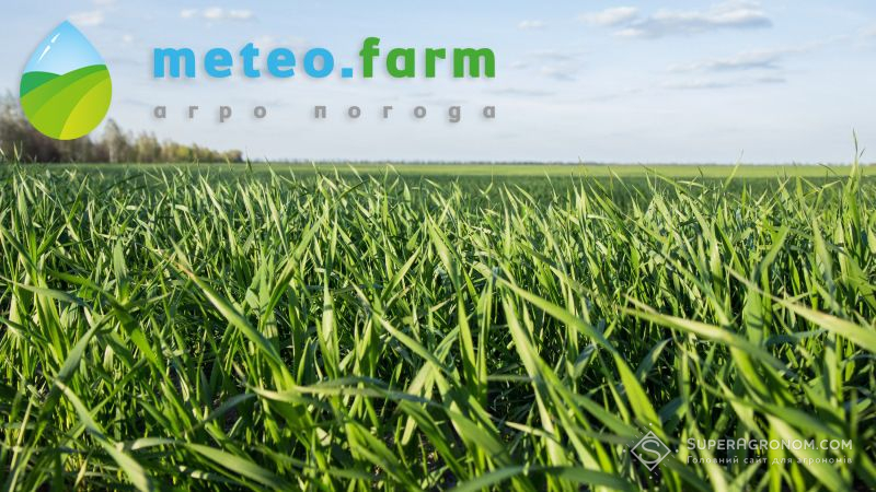 Березневі температури перевищили багаторічні кліматичні норми — Метео Фарм