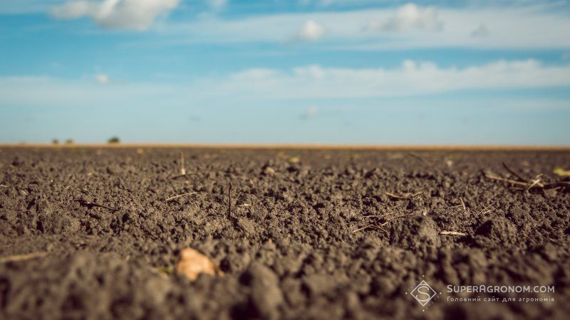 Американські вчені розробили новий тест на визначення насиченості ґрунту азотом