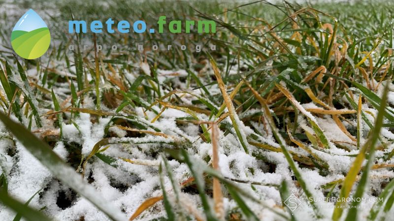 На Україну насувається похолодання з мокрим снігом і нічними заморозками