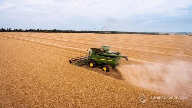Аграріям загрожує зниження виробництва пшениці через посуху на півдні України
