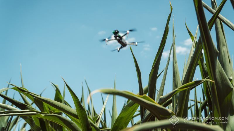 Розроблено стартап, який відстежує хвороби рослин за допомогою дронів