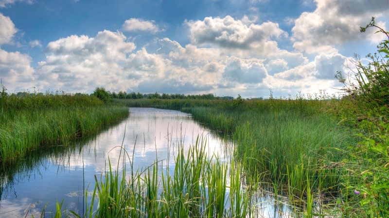 Дефіцит опадів спровокував низьку водність річок — Укргідроенерго