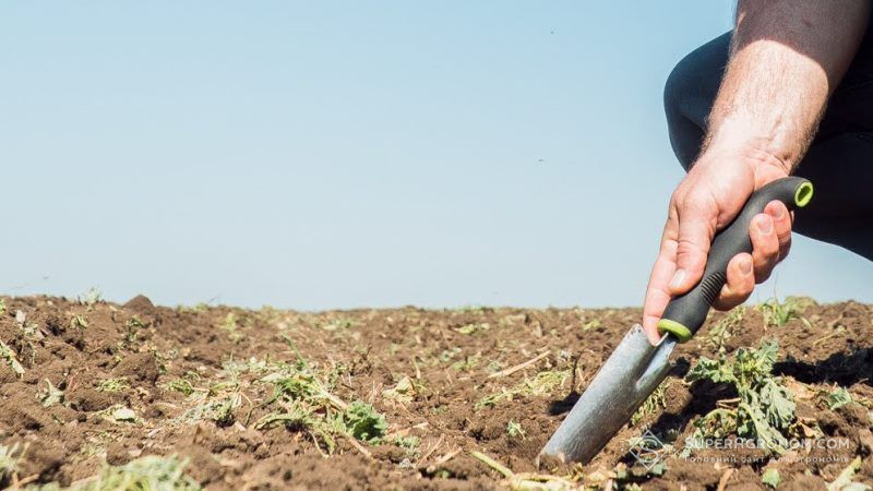 Збитки від втрати гумусу в Україні оцінюються в 450 млрд грн
