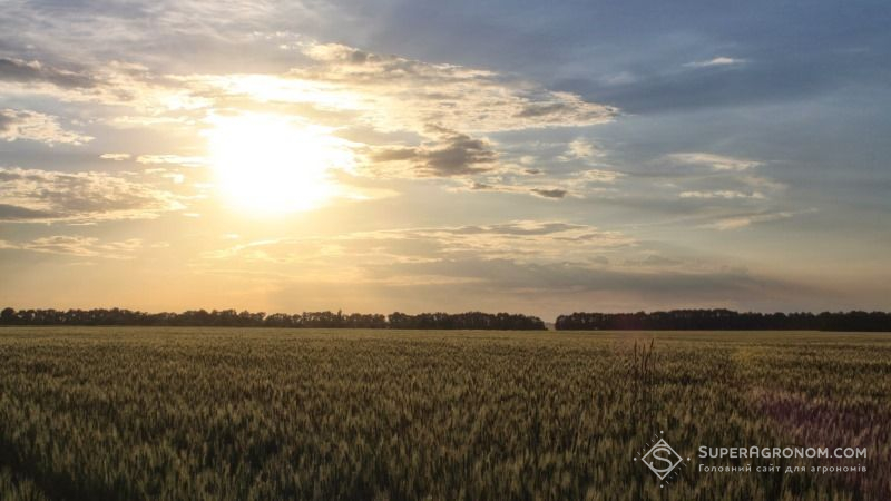 В Україні зберігається ризик посилення ґрунтової посухи — прогноз