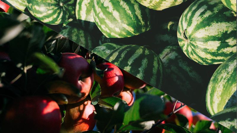 Аналітики озвучили перспективний прогноз на цьогорічний врожай яблук та кавунів