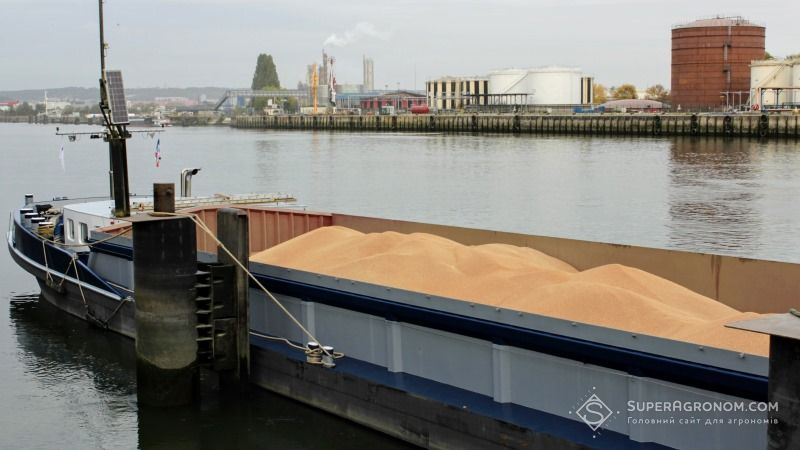 В портах України знизились закупівельні ціни на фуражну пшеницю