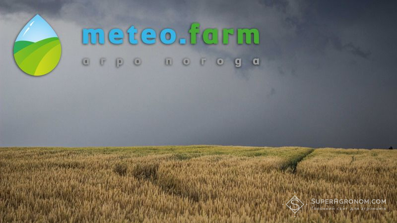На територію України повернуться дощі з грозами — прогноз погоди