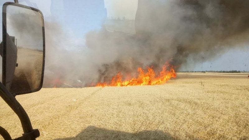 Через польові пожежі на Чернігівщині вигоріло 23 га зернових