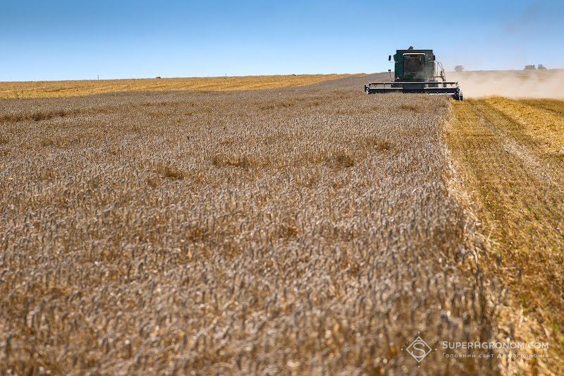 Збирання врожаю озимої пшениці