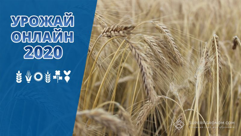За результатами жнив ячменю найвищу врожайність зафіксовано на Львівщині
