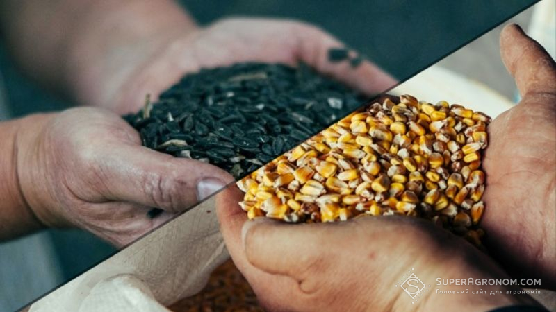 На Полтавщині зібрано по мільйону тонн врожаю соняшнику та кукурудзи