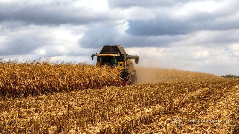В МХП розповіли про наслідки посушливого сезону для кукурудзи та збирання врожаю