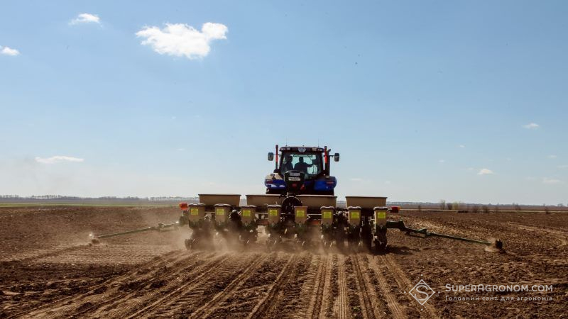 Через посуху на Дніпропетровщині відмовляються вирощувати озимий ріпак