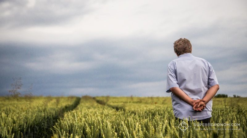Аграрна наука в Україні фінансується на третину від потреб — НААН