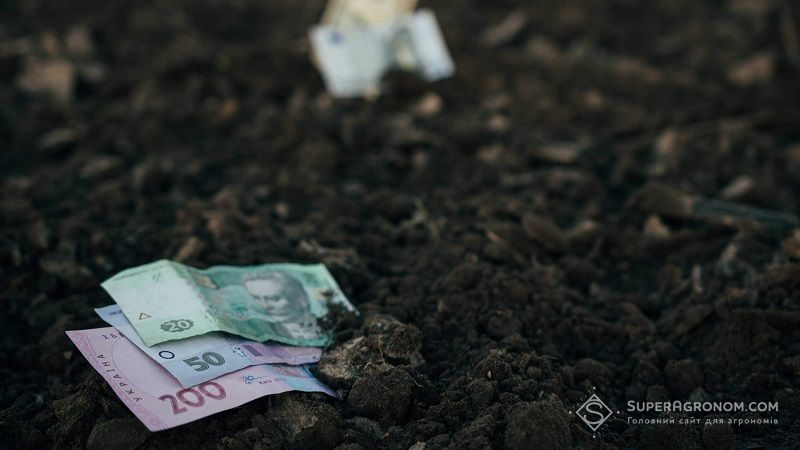 Детінізація землі зможе принести Україні мільярди доларів щороку — думка