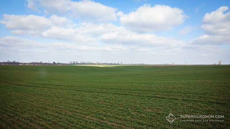 Врожайність зернових на Хмельниччині майже на чверть нижча минулорічної