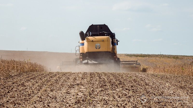 На Рівненщині аграрії намолотили майже 900 тис. тонн зерна основних культур