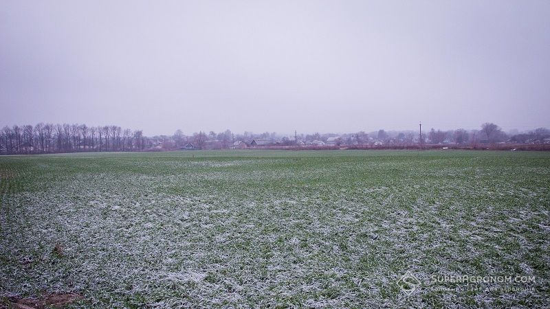 На Україну насувається справжня зима з морозами та снігом