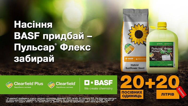 BASF запускає акцію на деякі препарати та гібриди соняшнику