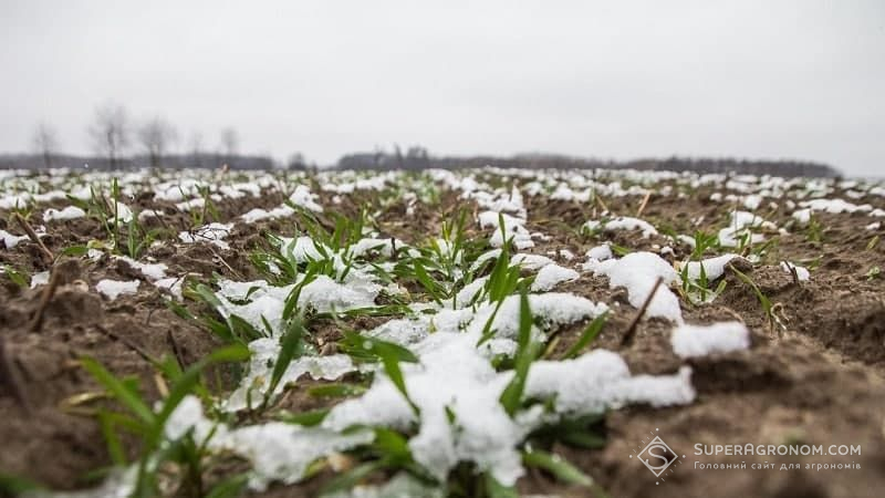 Погода в Україні буде нестабільною: очікуються різкі перепади температур