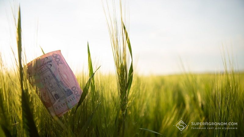 Українські аграрії недоотримують близько 500 млрд грн прибутку, — експерт