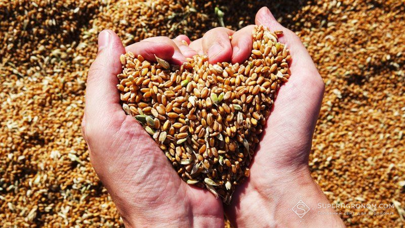 Аграрії Чернігівщини побили усі рекорди збирання зернових культур