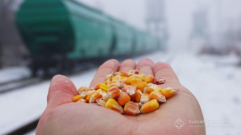 За даними Мінекономіки українська сільгосппродукція експортується до 190 країн світу