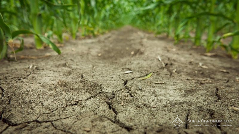 Названо основні технології боротьби з посухою в Україні
