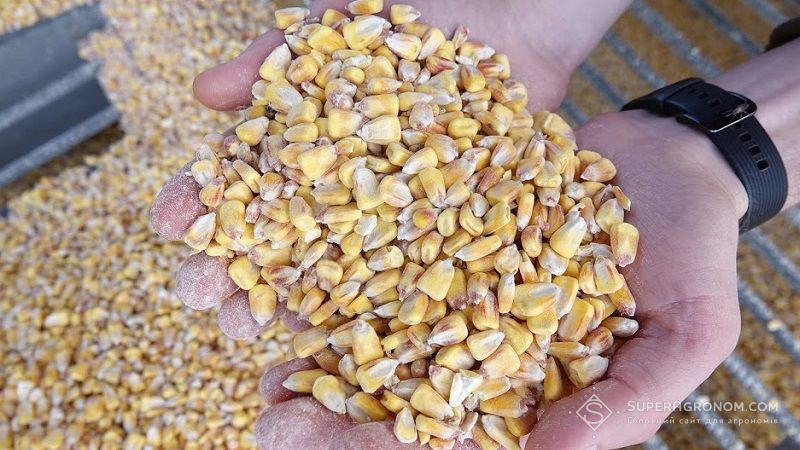 На зовнішніх ринках продовжується зростання вартості зерна: пропозиція скорочується