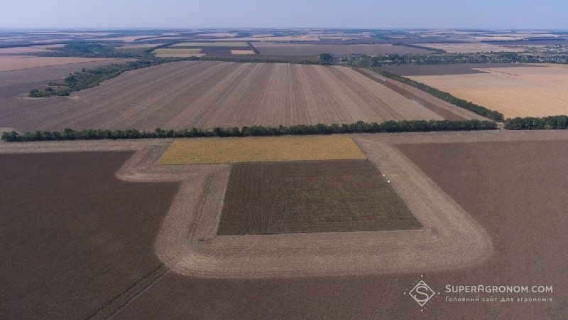 В Україні виявили понад 5 млн га зниклих сільгоспземель, — Держгеокадастр