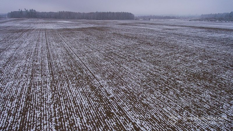 Названо стратегію перезавантаження Державного резерву в Україні: підтримка фермерів