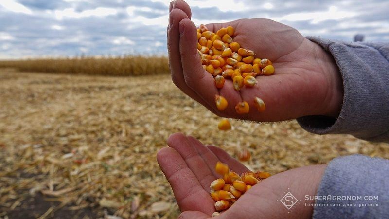 В 2021 році Білорусь планує зібрати близько 8,5 млн тонн зерна