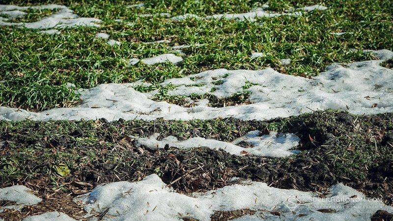 На полях Рівненщини затримався сніговий покрив, що заважає аграріям працювати та несе ризики