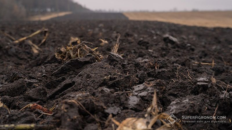 Опубліковано показники рівня вологи у ґрунті по областях України